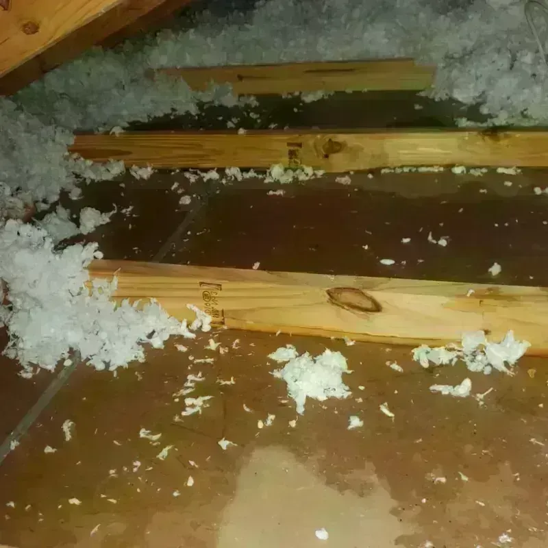 Attic Water Damage in Laughlin Air Force Base, TX